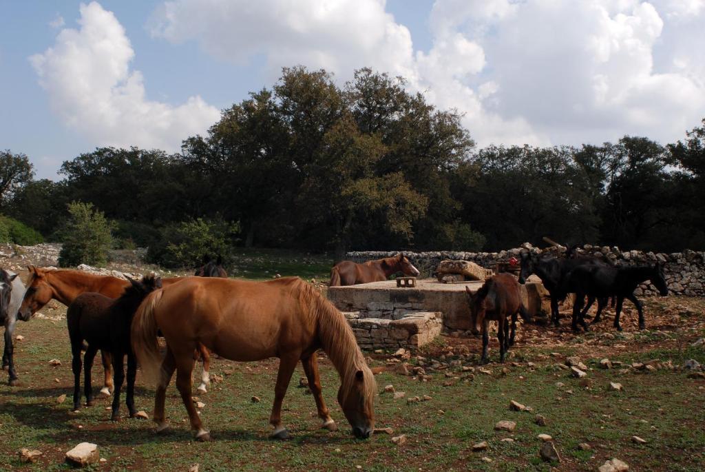 Séjour à la ferme Iazzo Scagno