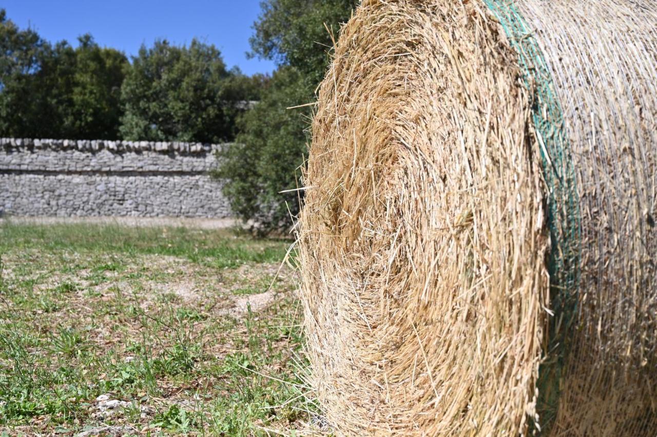 Iazzo Scagno * Martina Franca